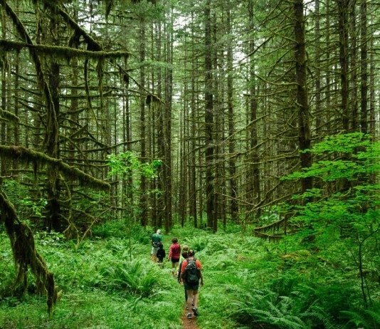 国民性ジョーク|日本人・イタリア人・フィンランド人と山登りする話 国民性丸見え!日本人・イタリア人・フィンランド人と山歩きした話