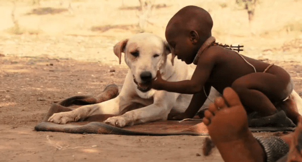 アフリカの赤ちゃんのおもちゃは…犬！