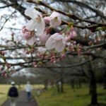 日本人が海外で日本を感じて思わずホッとしてしまう7つの瞬間 日本人が海外で日本を感じて思わずホッとしてしまう7つの瞬間