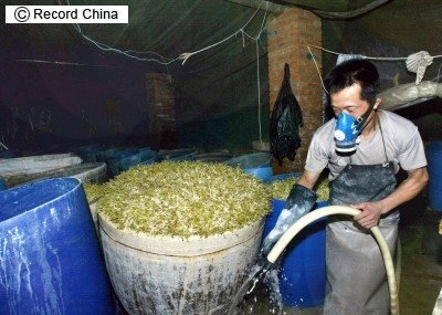 危険な中国食品 世界がギョッとする 中国食品スキャンダルトップ10