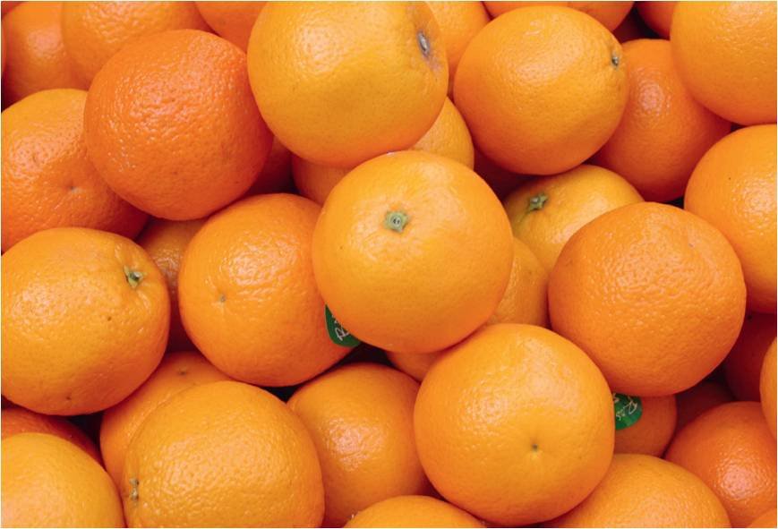 海外では年越しに何食べる?世界の大晦日に食べるもの料理10選